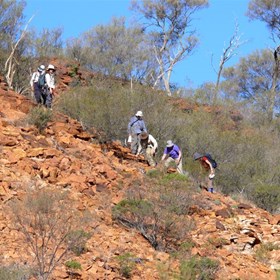 Scientists and volunteers get a close look at the country