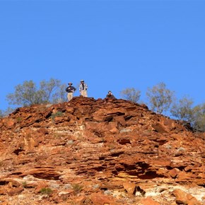 Scientists and volunteers out in the field