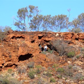 Checking the myriad of small caves for signs of dingoes