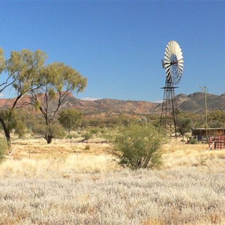 More scenery from around Gemtree