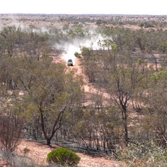 Raising dust through Mayfield Swamp