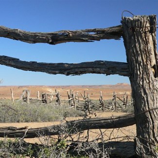 Old stockyards at Dalhousie ruins