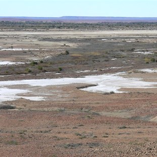 White patches of salt near Dalhousie Springs