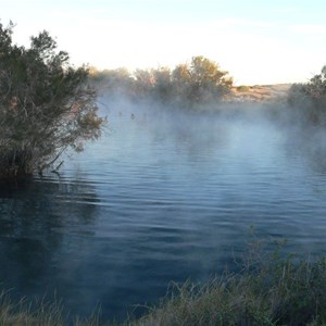 Swimming in Dalhousie Springs