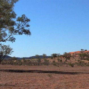 The first sand dunes come into view
