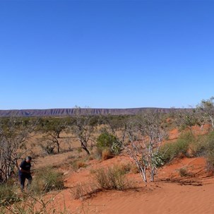 Climbing a dune for better views