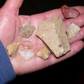 stone flakes - tools maybe
