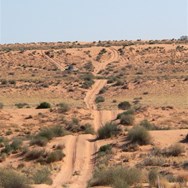 Which track is best?