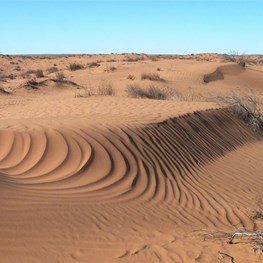 Beautiful sand patterns