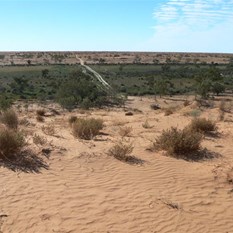 The eastern swales were green