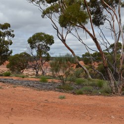 scenery near Fraser Range rest area