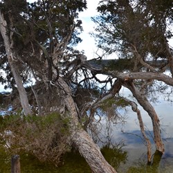 reflections on the water