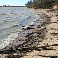 The wind even whipped up tiny waves