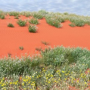 Wonderful colour contrasts