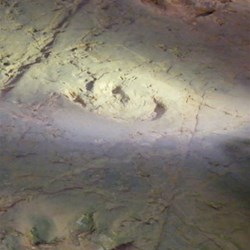 The Predator - Therapod tracks 