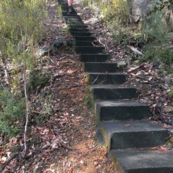 more steps