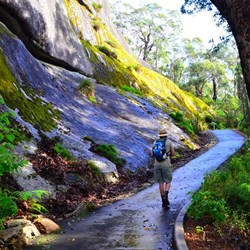 track views of the rock