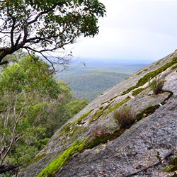 views from the track