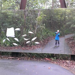 Swarbrick was impressive