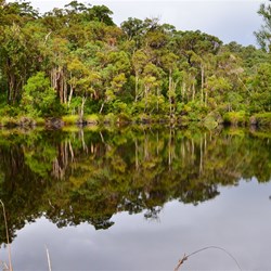 reflections in the pool near Fernhook falls