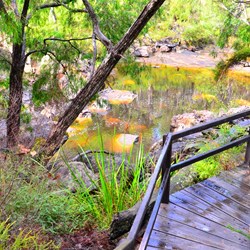 walk at Fernhook falls