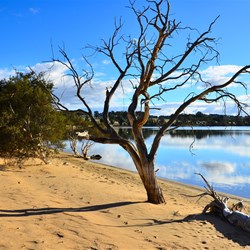 walk view on lake edge