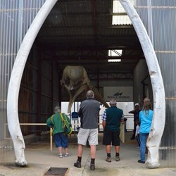 huge whale bones line the entrance to the building
