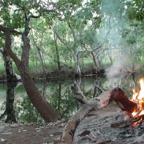 Fire by Dog Chain Creek