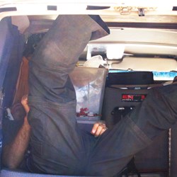 Scotty taking a siesta