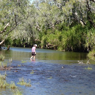 Vik (aka "Croc Bait") exploring the Carson River at the Kalumburu Rd Crossing