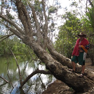 The Carson near the Kalumburu Road