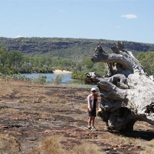 Vik and the tree - Gives an indication of the flood height!