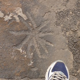 Petroglyph