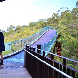 walkway at the Park was impressive