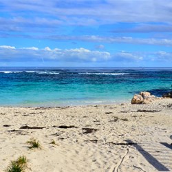 view from the bus tour window