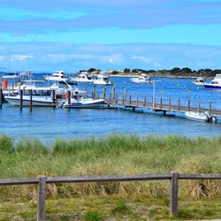 view from Thompsons Bay