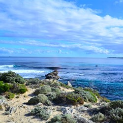 view from the bus window