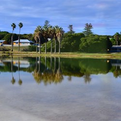 reflections on salt lake through bus window