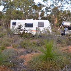 camping in the bush