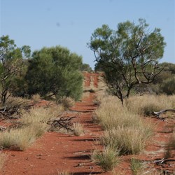 A beaut section of track