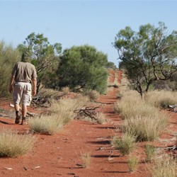 Al investigates the track