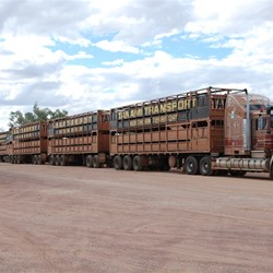 Now that's a road train