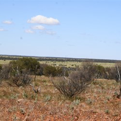 Down in that scrub is our confluence