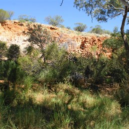 Alberga Cliffs