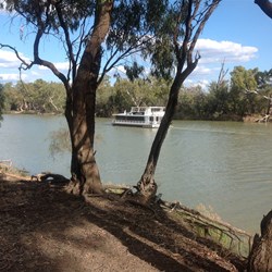 Bottle Bend Forest Reserve