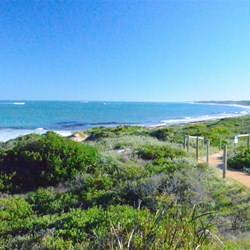 view from the lookout