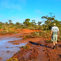 scene along the walk