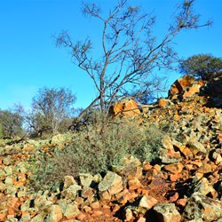 rocky ground