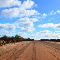 view from the passenger seat