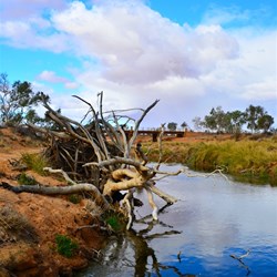 pool of water below the bridge
